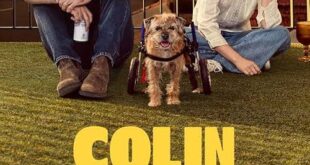 Colin From Accounts